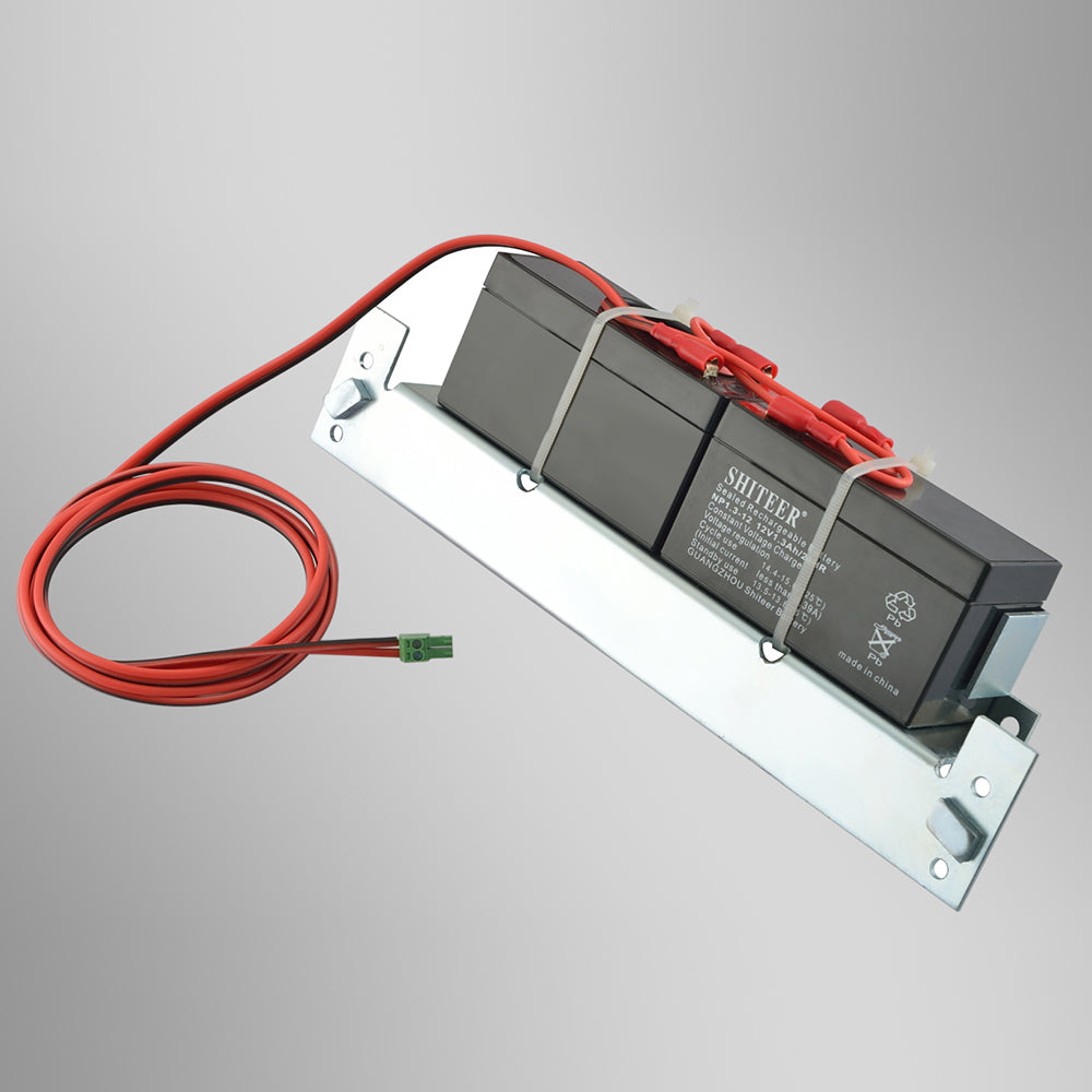 ES200 Backup Battery Pack